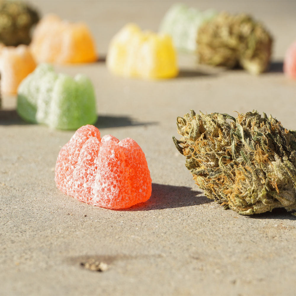 CBD edibles and cannabis bud on a flat surface