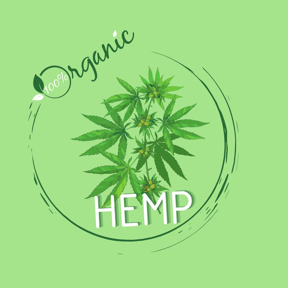Organic Hemp Plant with 100 percent Organic Hemp text overlay