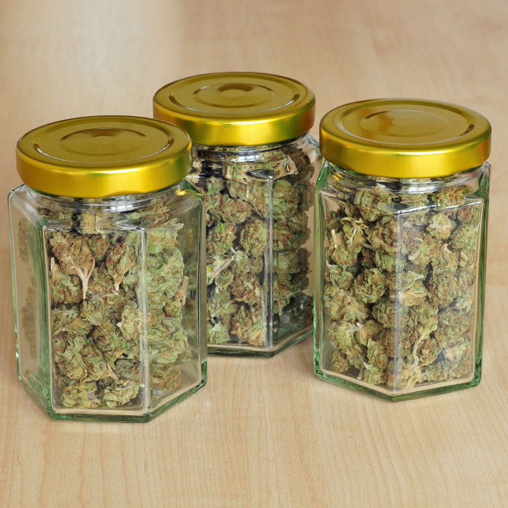 Dried Cannabis buds stored in three glass jars