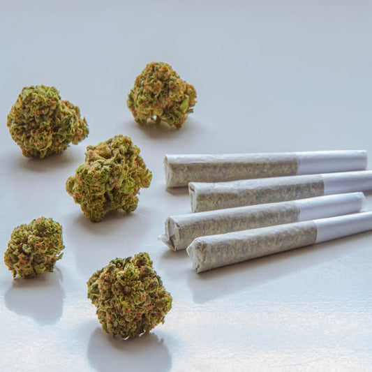 Hemp pre-rolls on a flat surface