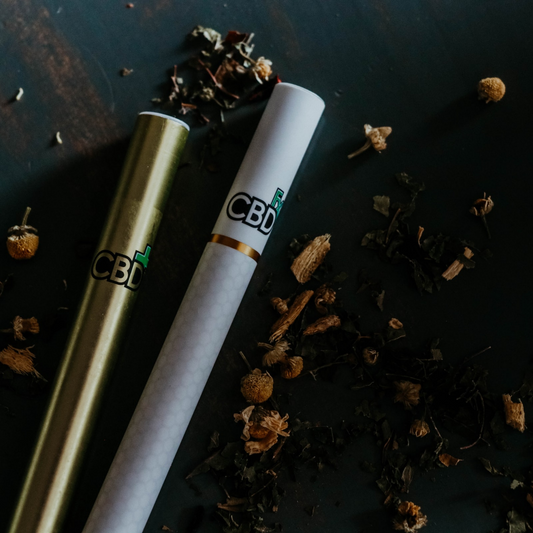 Best CBD Vapes for Beginners