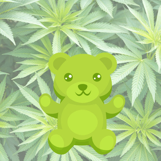 CBD green gummies with THC plant in the background 