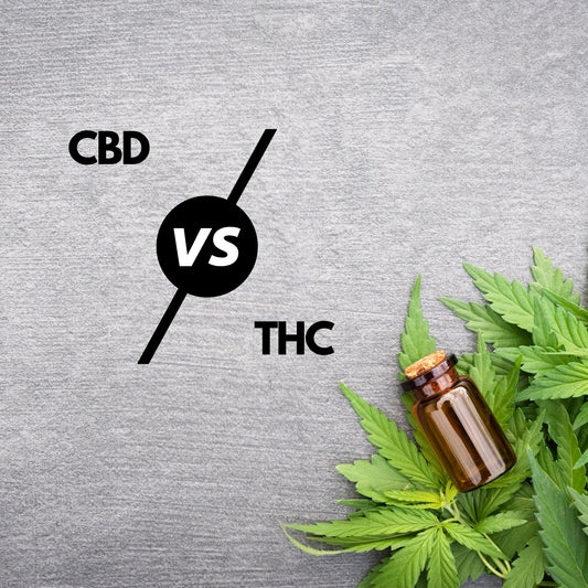 CBD versus THC text with thc plant in the corner 