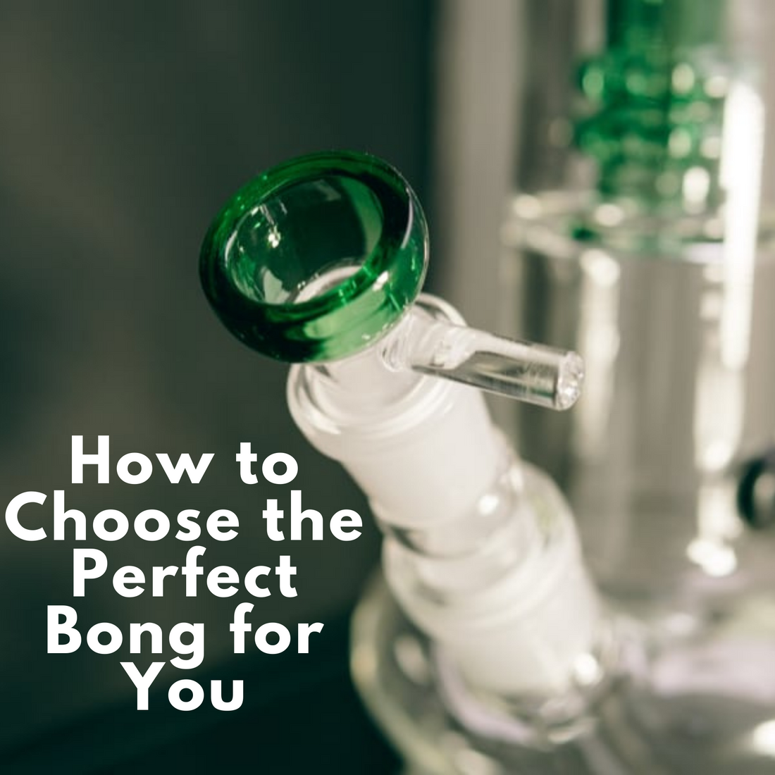 How to Choose the Perfect Bong for You