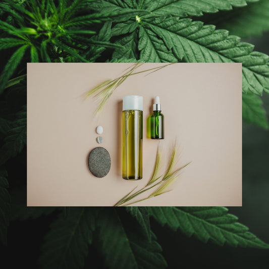 CBD body oil with cbd plants in the background 