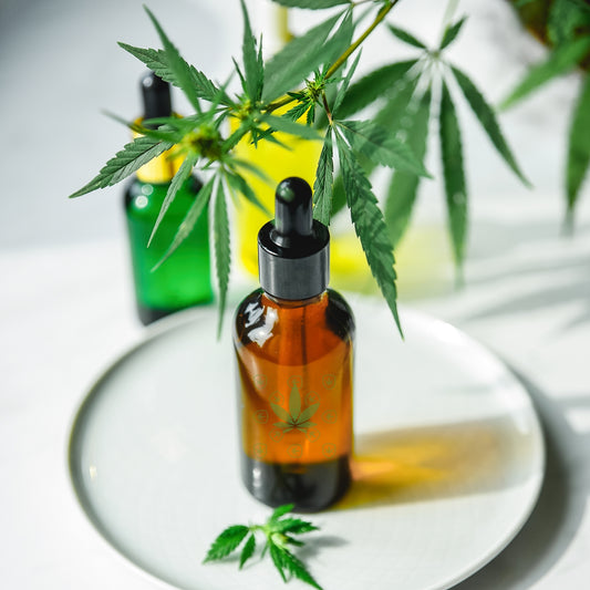 CBD Tincture presented on a plate