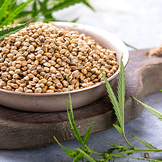 Hemp Seeds in a Bowl