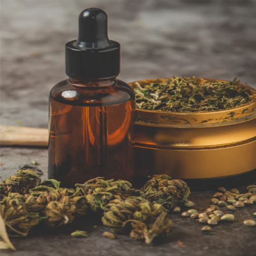 Cannabis in grinder and bottle of oil