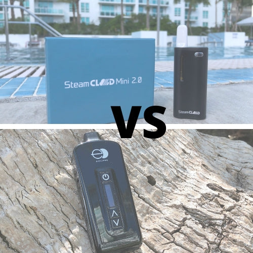 Dry Herb Vaporizer vs Oil Vape Pen 