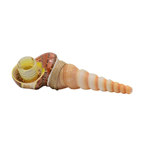Seashell Spoon Pipe Option E 