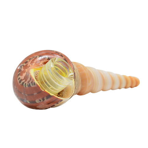 Seashell Smoking Glass Spoon Pipe 