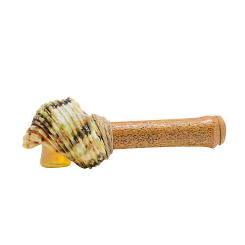 Seashell Spoon Pipe Option D 