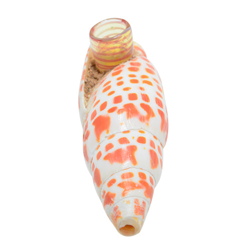 Seashell Spoon pipe Option A 
