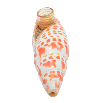 Seashell Spoon pipe Option A 