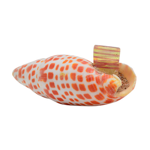 Seashell Spoon Pipe Option A Bowl Head 