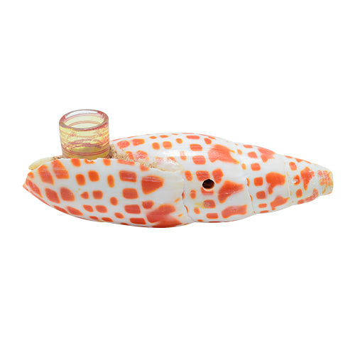 Seashell Spoon Pipe with Carb Hole 