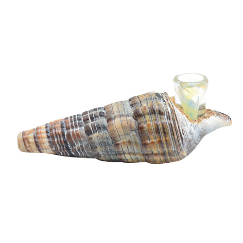 Seashell Spoon Pipe Option B