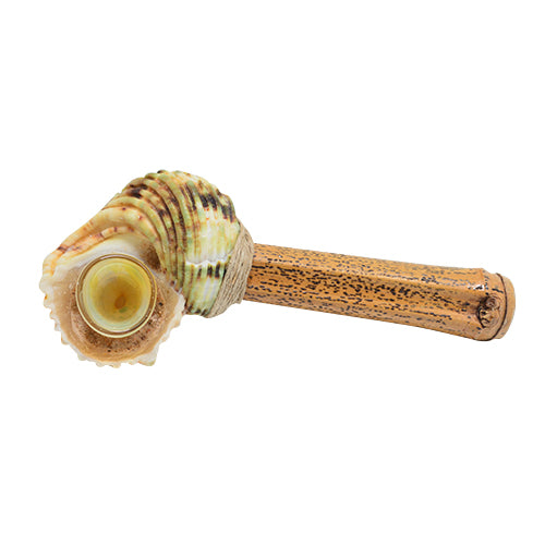 Seashell Smoking Pipe Option D 