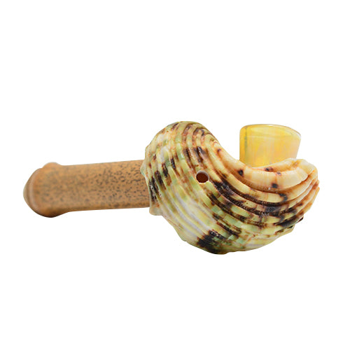Seashell Spoon Pipe Option D Bowl Head 